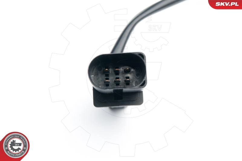 Oxygen Sensor